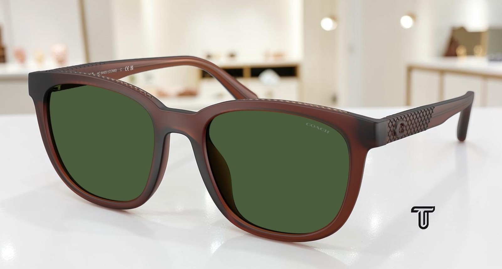 COACH HC8442U 591171 Cca00 Matte Transparent Brown Green 54 mm Men’s Sunglasses
