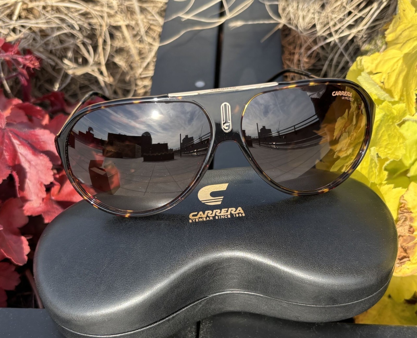 Carrera HOT65 0086 HA Dark Havana/Brown Gradient Unisex Adults