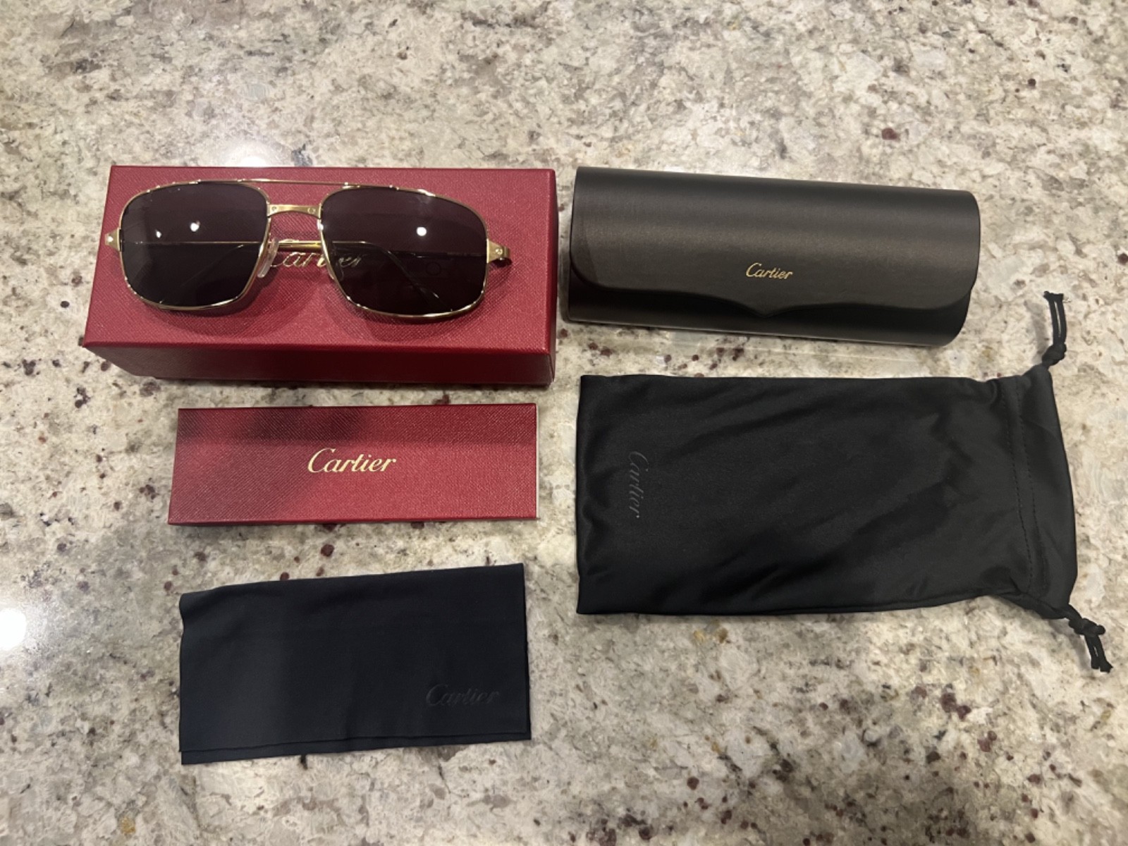Authentic Cartier Santos CT0193S 002 Sunglasses New Complete Set Box & Case