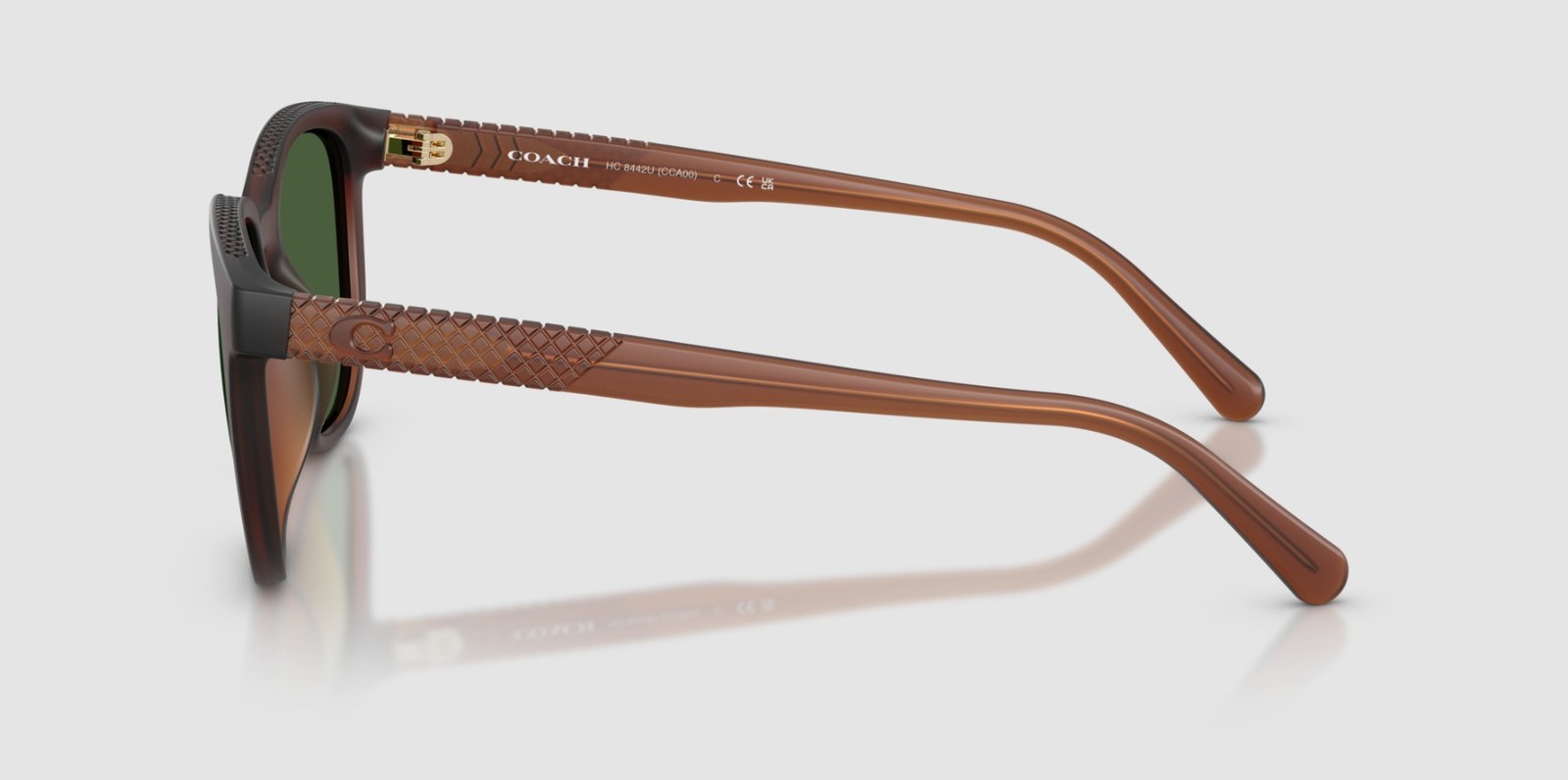 COACH HC8442U 591171 Cca00 Matte Transparent Brown Green 54 mm Men’s Sunglasses
