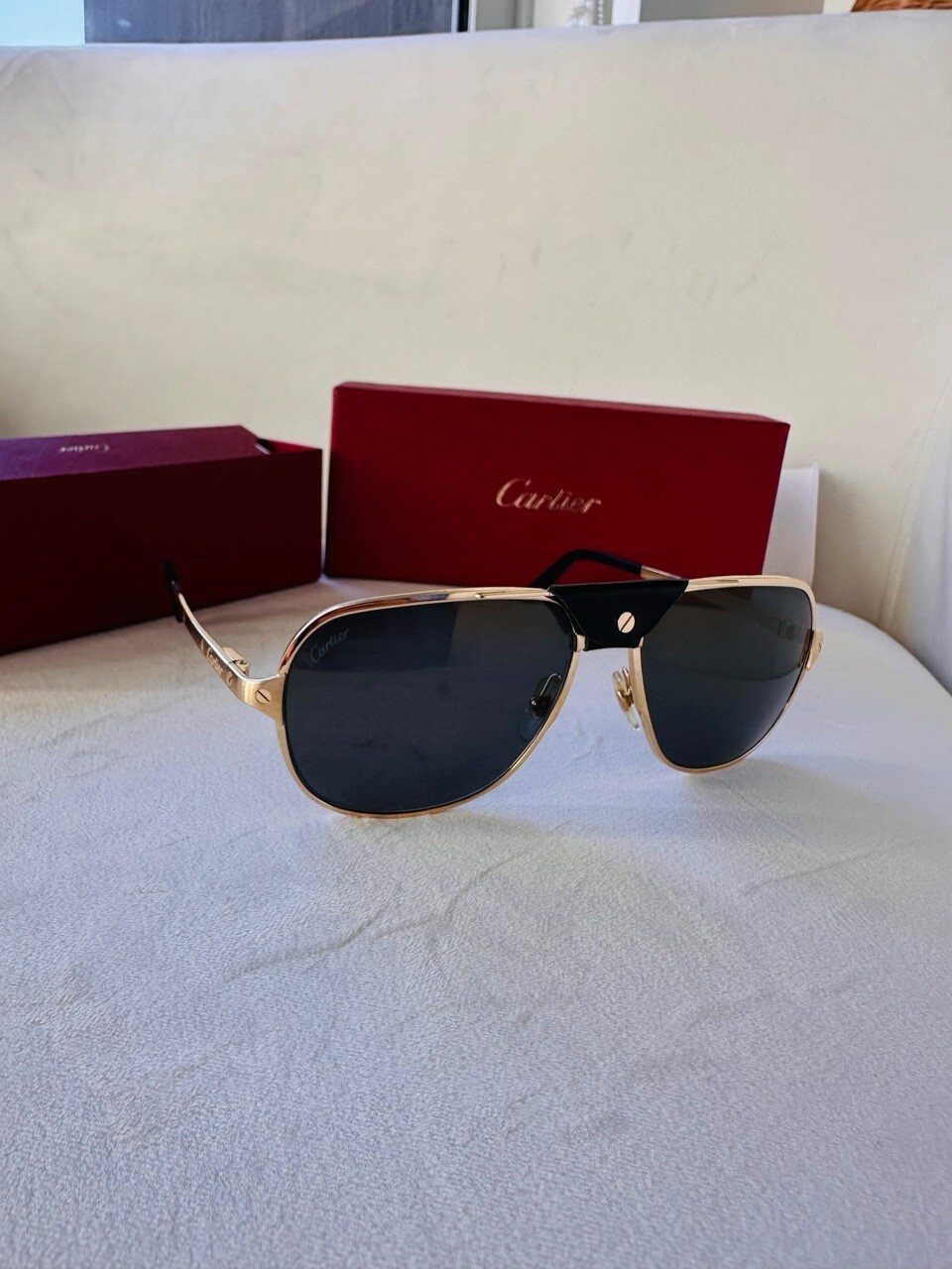 Cartier Santos De Cartier Polarized Grey Flash Mirror Navigator Men’s Sunglasses