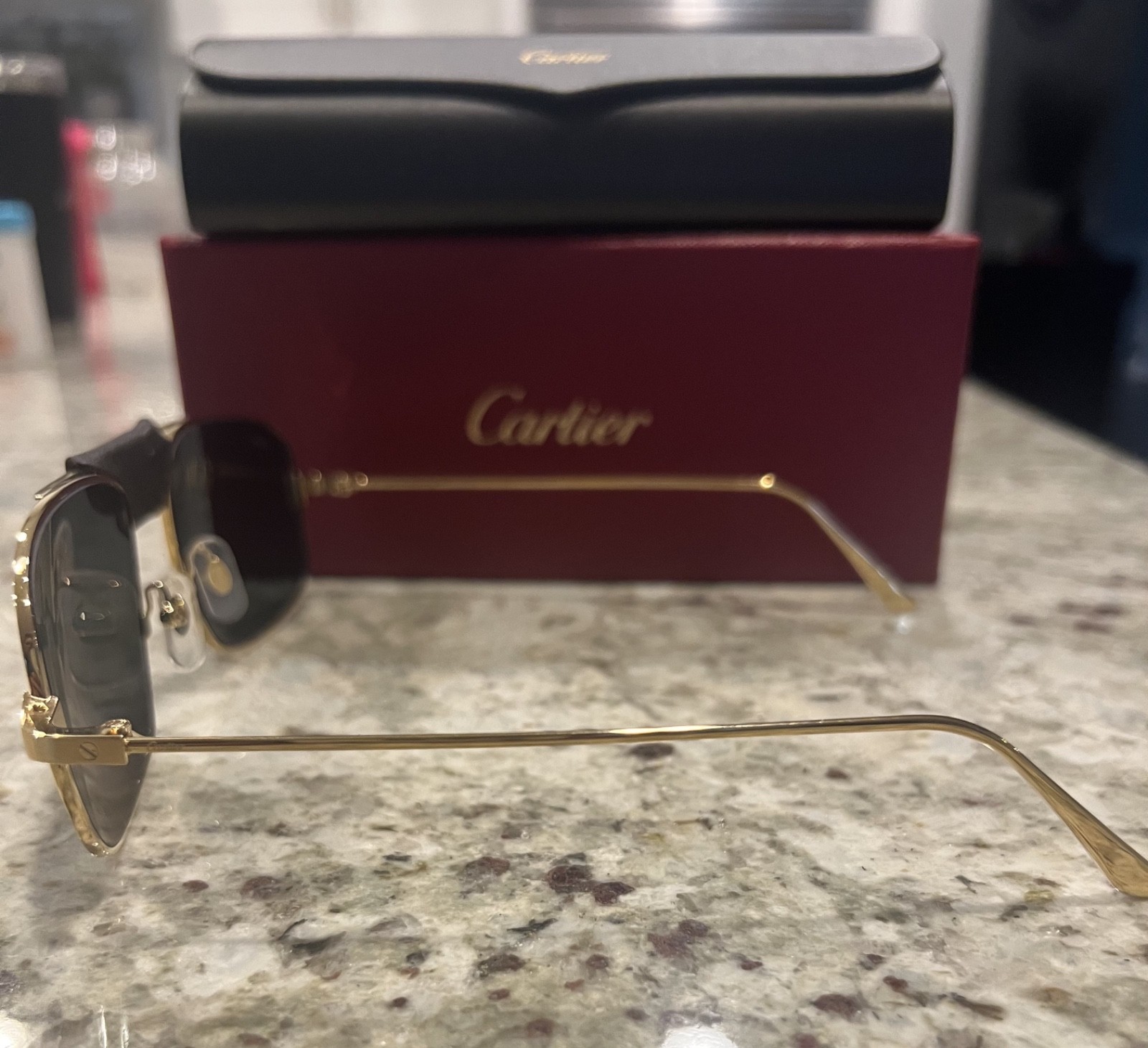 Authentic Cartier Santos CT0193S 002 Sunglasses New Complete Set Box & Case