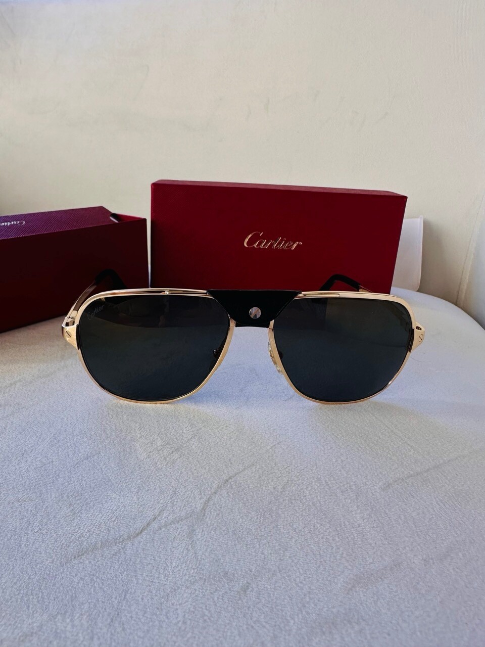 Cartier Santos De Cartier Polarized Grey Flash Mirror Navigator Men’s Sunglasses
