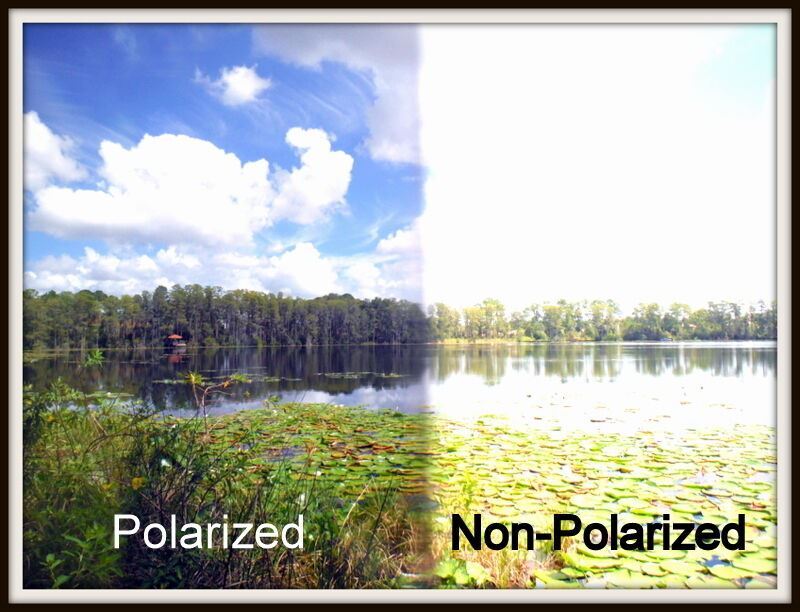 POLARIZED Replacement Lenses For Oakley Gascan Sunglasses Multi-Color Selection