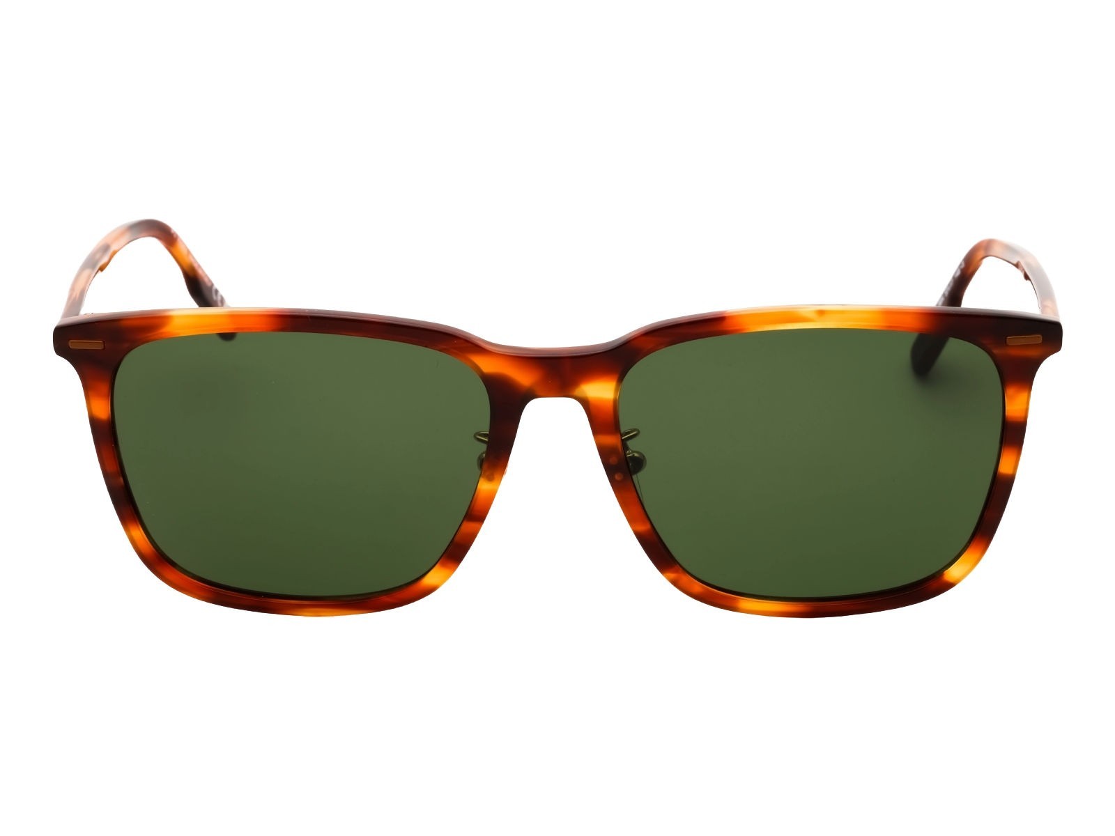 NEW ERMENEGILDO ZEGNA EZ 0223-D 56N HAVANA STRIPED/GREEN LENS SUNGLASSES 145MM