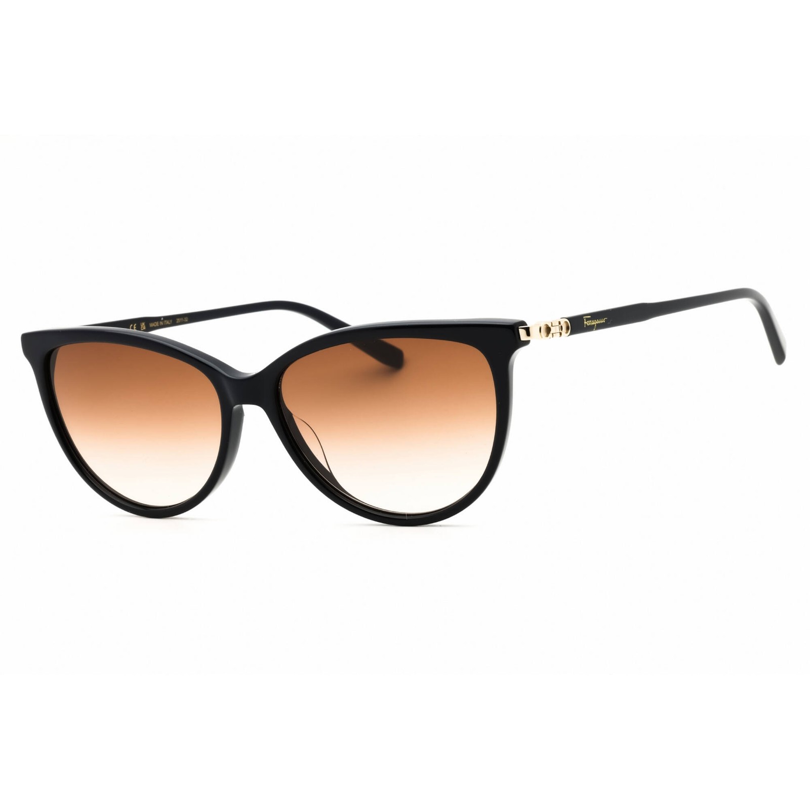 Salvatore Ferragamo Unisex Sunglasses Oval Shape Full Rim Frame SF2870SCP 433