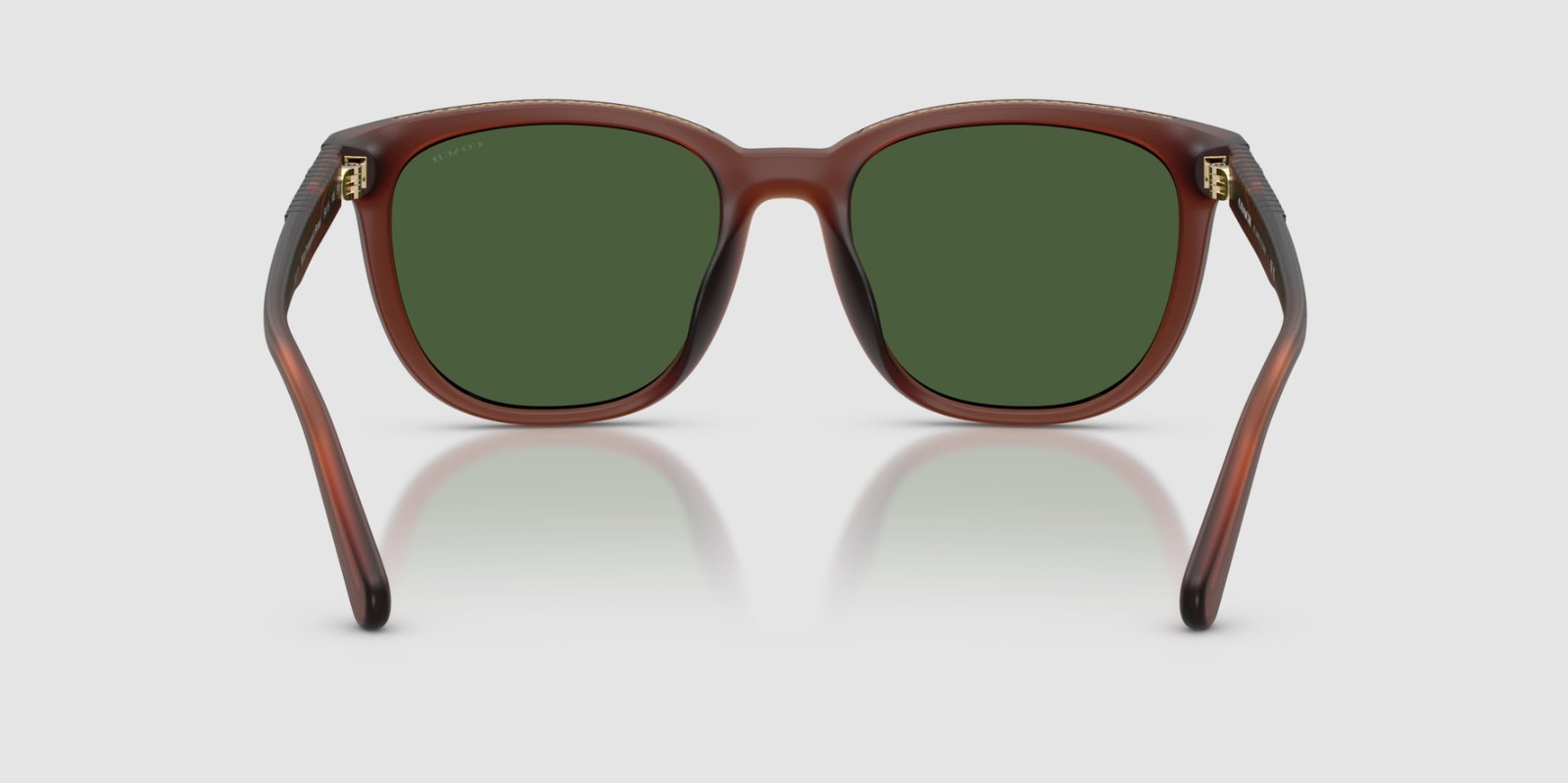 COACH HC8442U 591171 Cca00 Matte Transparent Brown Green 54 mm Men’s Sunglasses
