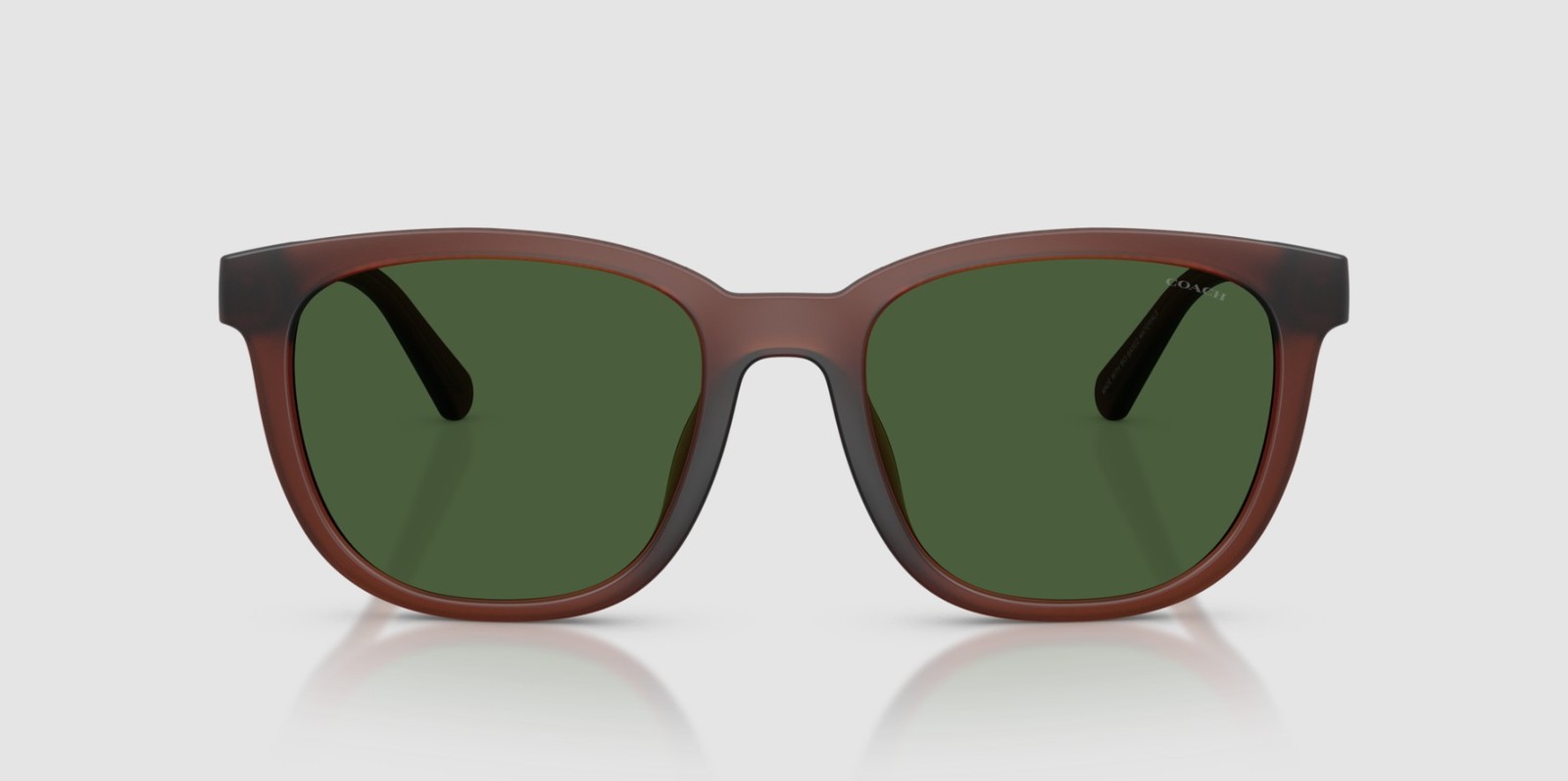 COACH HC8442U 591171 Cca00 Matte Transparent Brown Green 54 mm Men’s Sunglasses