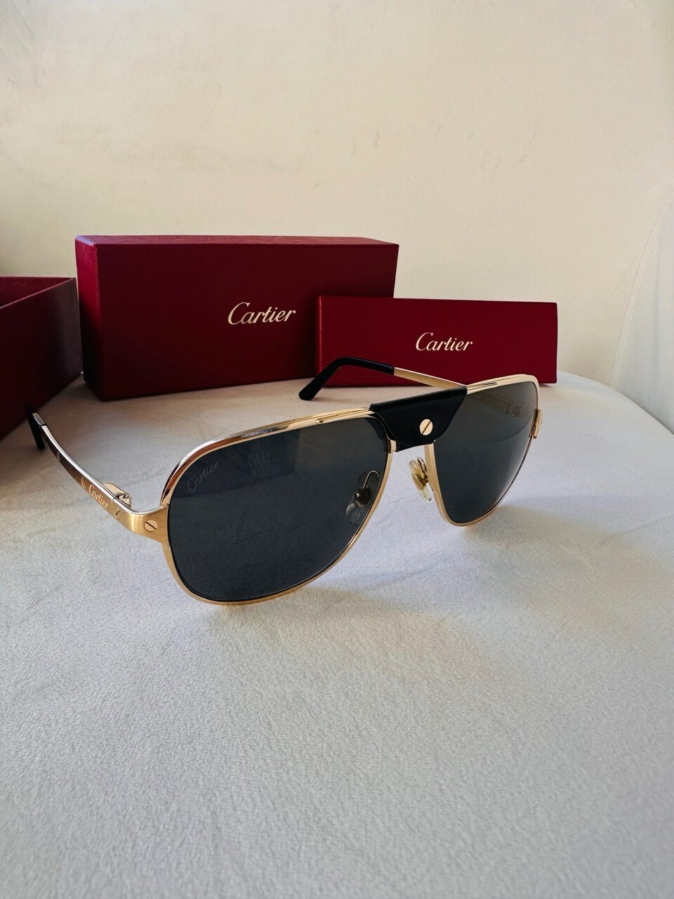 Cartier Santos De Cartier Polarized Grey Flash Mirror Navigator Men’s Sunglasses