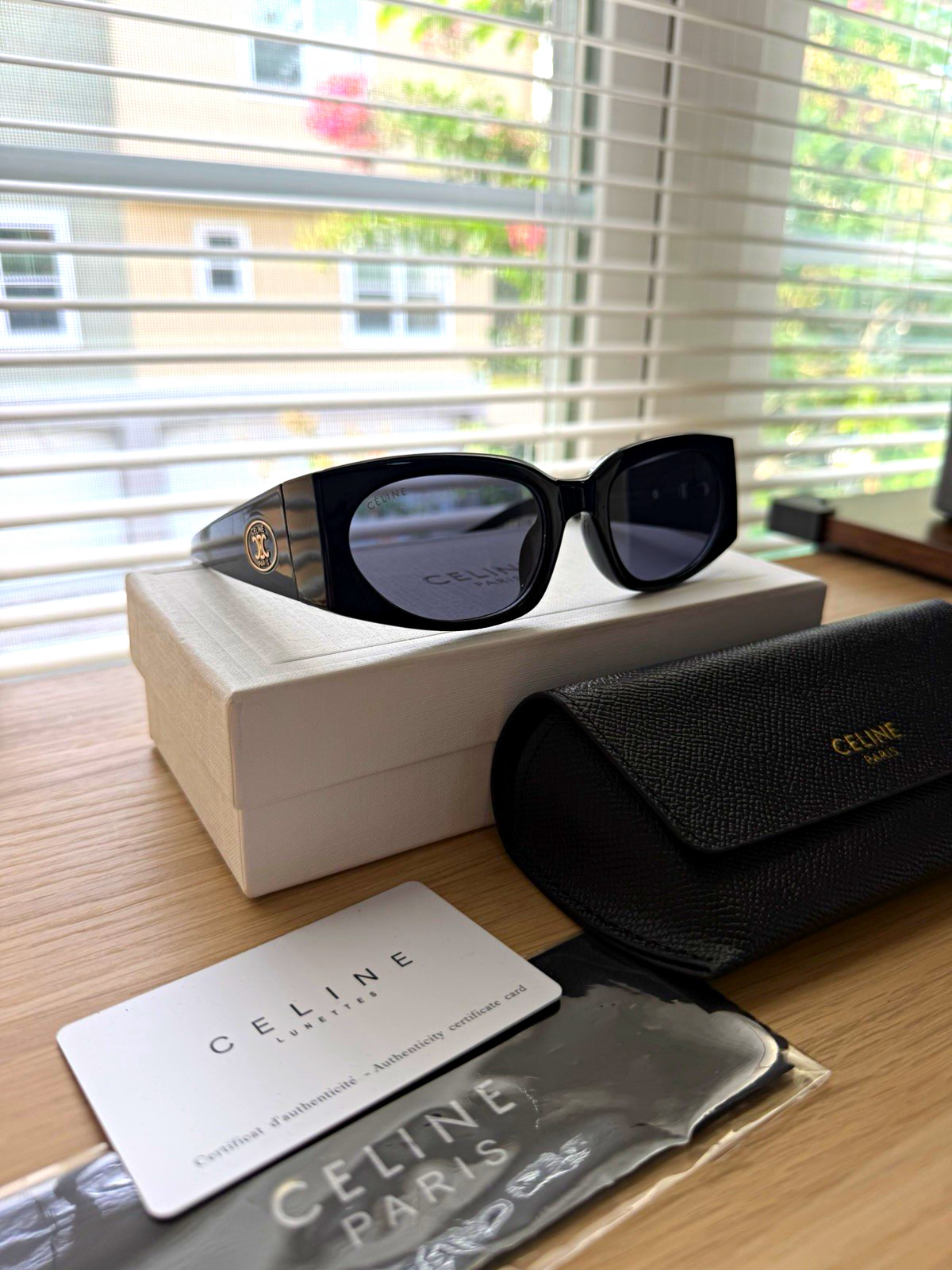 CELINE Paris Men’s Black Plastic Sunglasses, Gray Tinted Lenses, Case