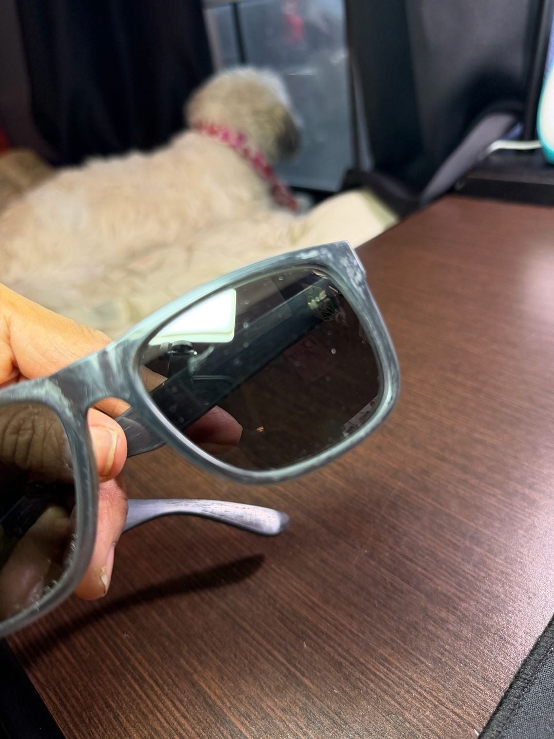 Ray-Ban Justin Classic RB4165 Sunglasses in Transparent Grey